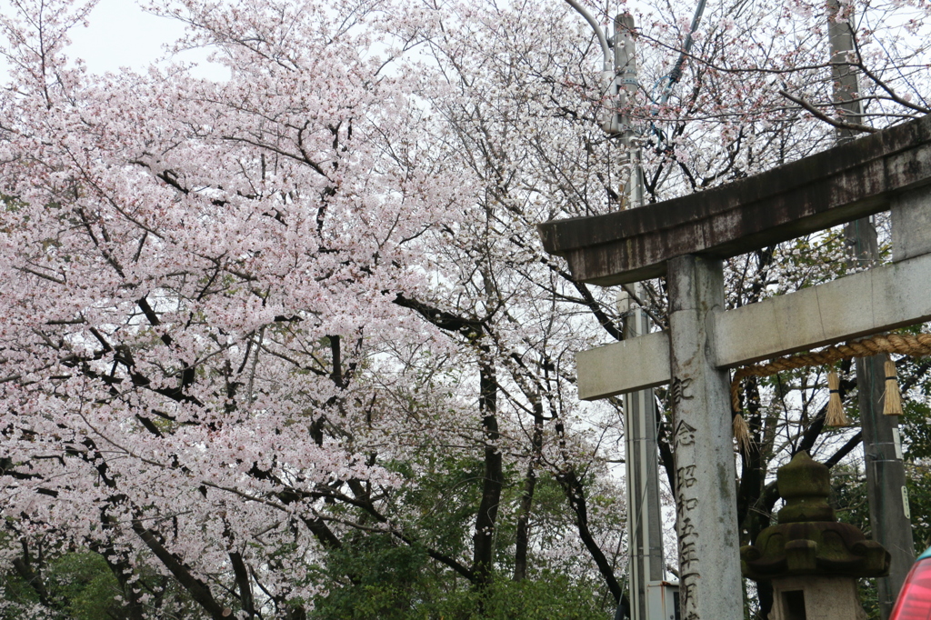 20150401154745_IMG_2937