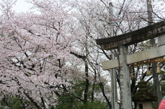 20150401154745_IMG_2937