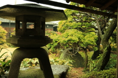 ステーキハウスの庭園