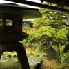 ステーキハウスの庭園