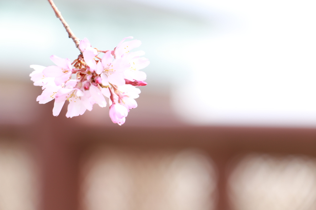 20150331095001_IMG_2799