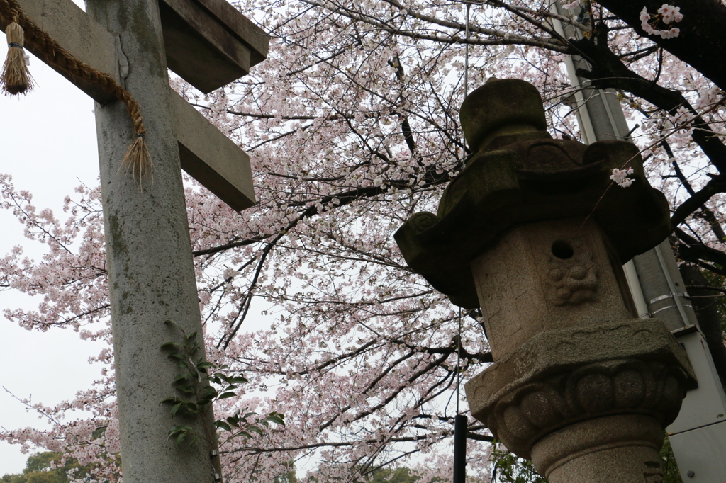 20150401154822_IMG_2939