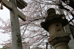 20150401154822_IMG_2939