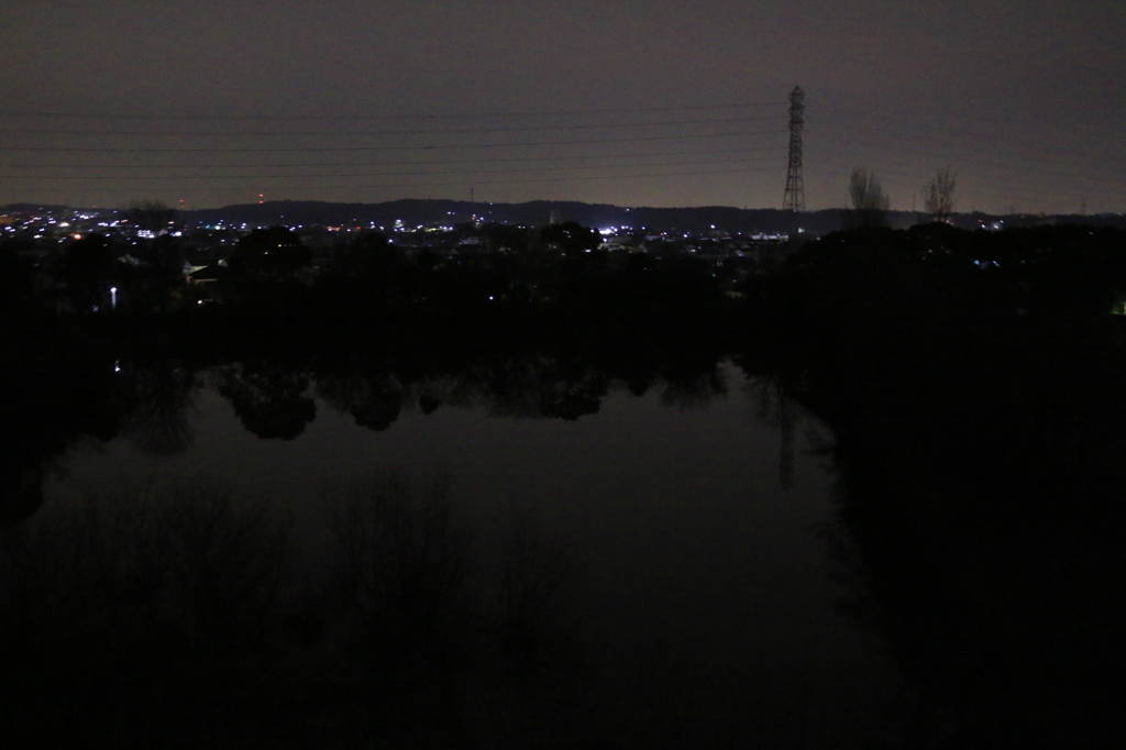 池と夜景