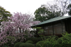 20150409082138_IMG_3618