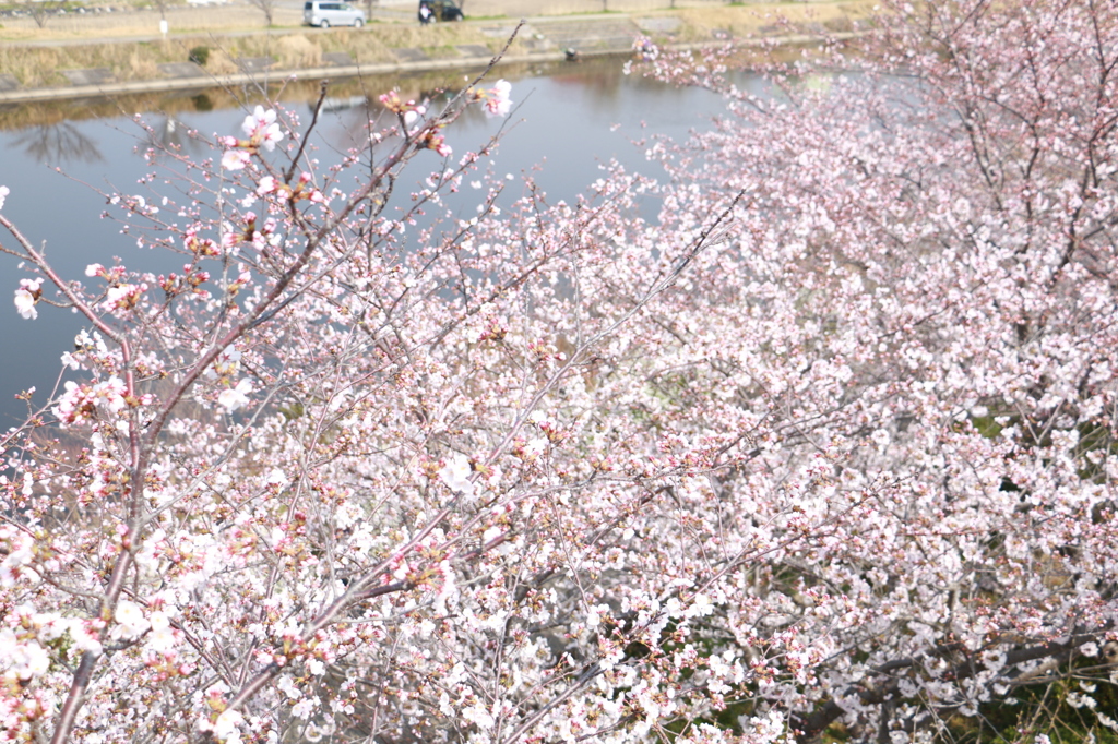 20150331093004_IMG_2764