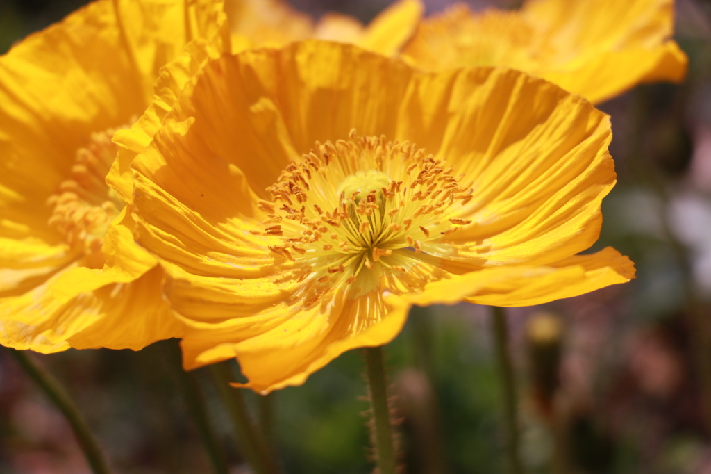 20150331123452_IMG_2922