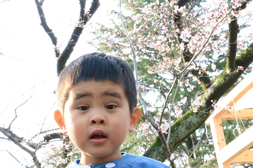 20150330080813_IMG_2616