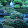 ステーキハウスの庭園