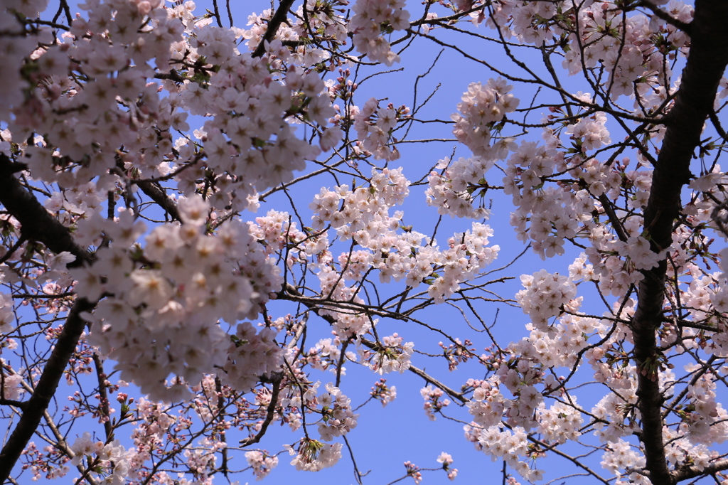 20150330085936_IMG_2700