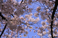 20150330085936_IMG_2700