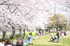 20150331110851_IMG_2839