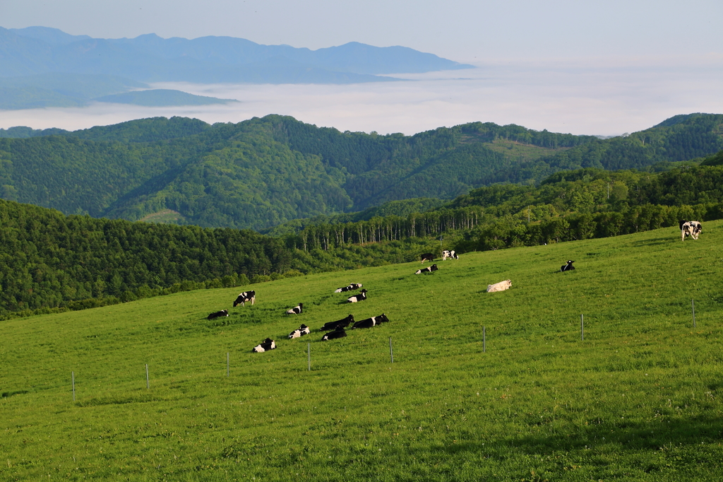 城岱牧場