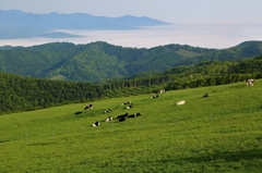 城岱牧場