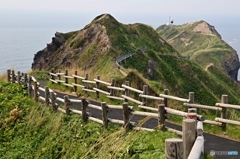 神威岬先端までの路