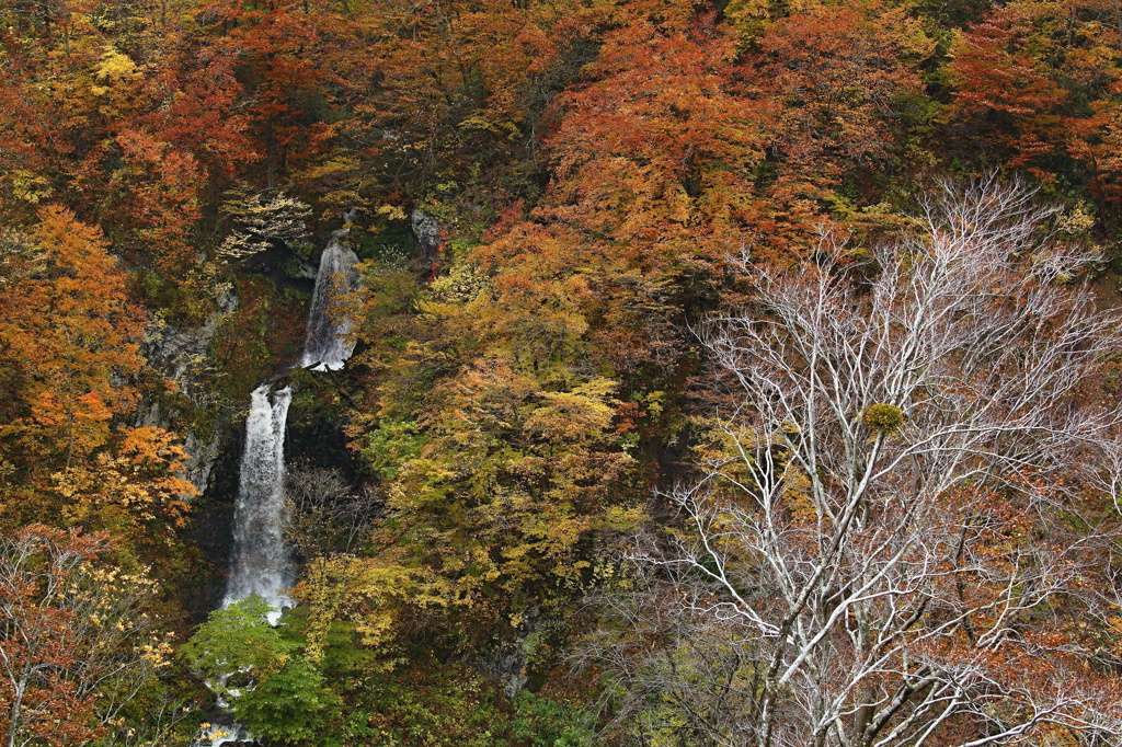 雲石峠にて