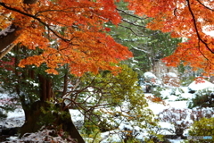 雪と紅葉