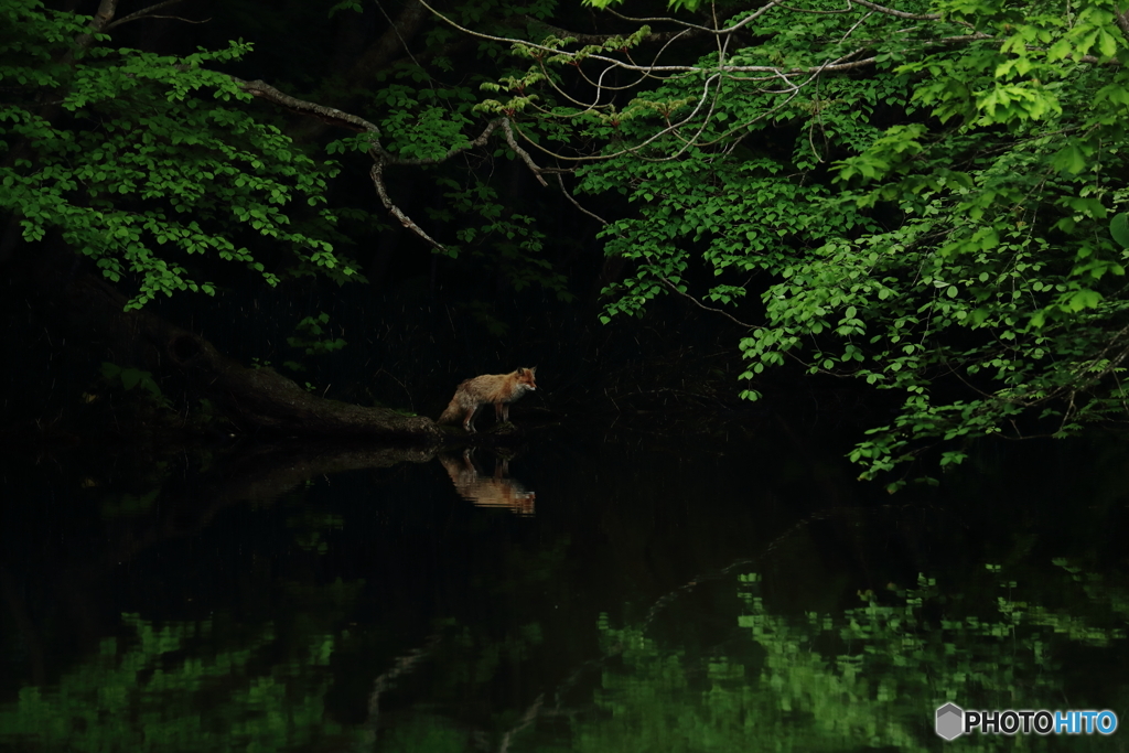 何か狙ってる