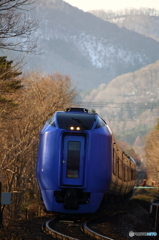 北の特急(ホワイトバランス日陰)
