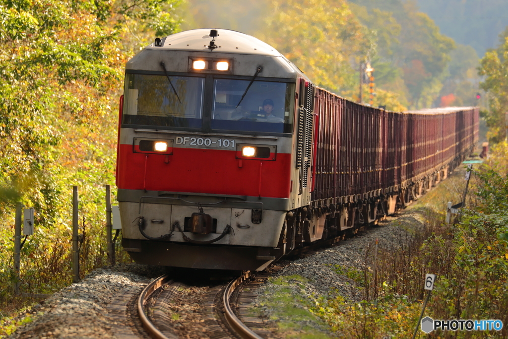 ジャガイモ列車