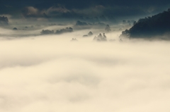 今朝の風景