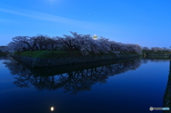 早朝の五稜郭公園