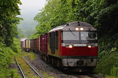 雨の中力強く