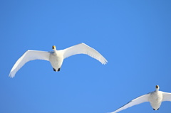 青空
