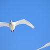 青空