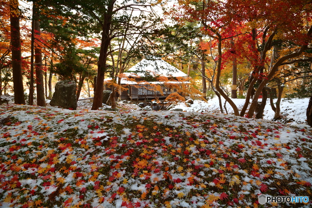 雪の香雪園
