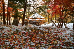 雪の香雪園