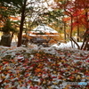 雪の香雪園