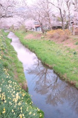 春の小川