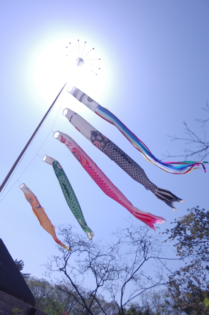 空に泳ぐ