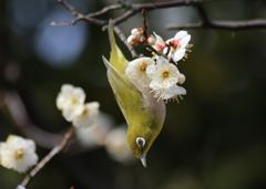 逆さま