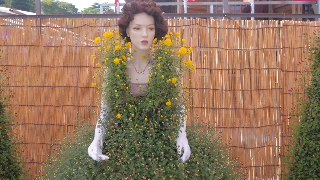 高幡不動菊祭り