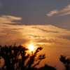 夕日