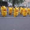ピカチュウたくさん