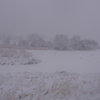 雪③