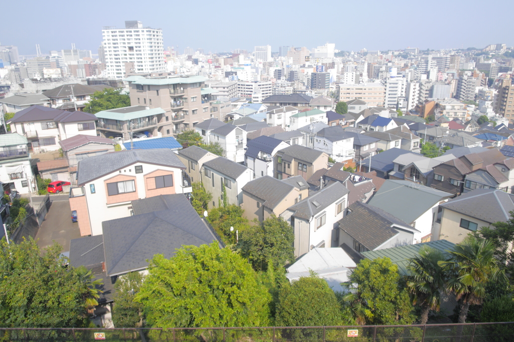 野毛山公園