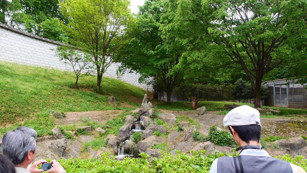 動物園にて