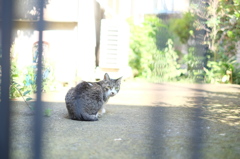 DSCF5364