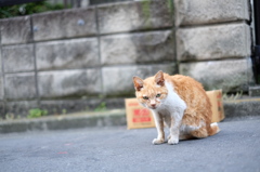 鼻水垂れない子