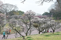 丘の上から