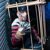 ハロウィン_渋谷