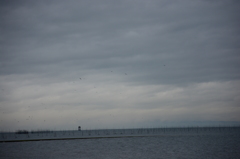 海