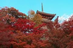 清水寺