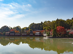 長岡天満宮_紅葉①