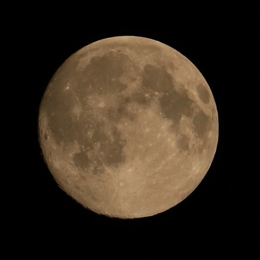 Blue Moon