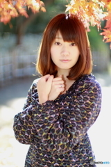 **2010 December**